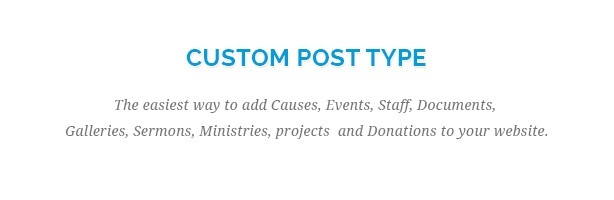 add Causes, Events, Staff, Documents, Galleries, Sermons, Ministries, projects and Donations to your website