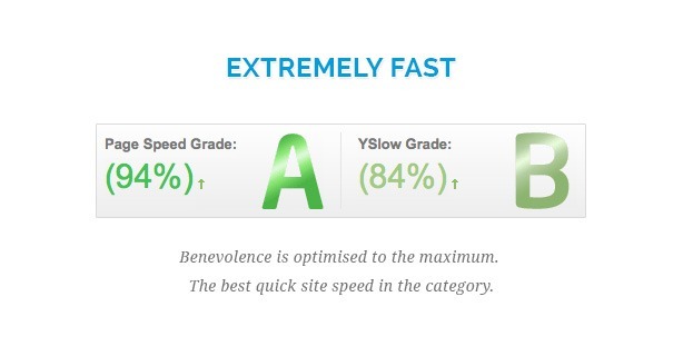 Extremely fast WordPress theme for Non-Profit - page speed grade 94%