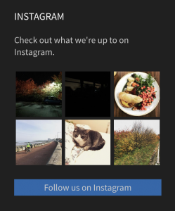 The Instagram widget displayed in the site footer.