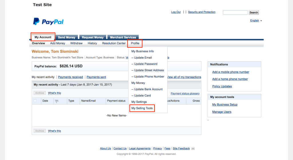 Payment Settings - WPlook Documentation