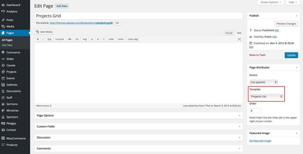 Displaying Projects - WPlook Documentation