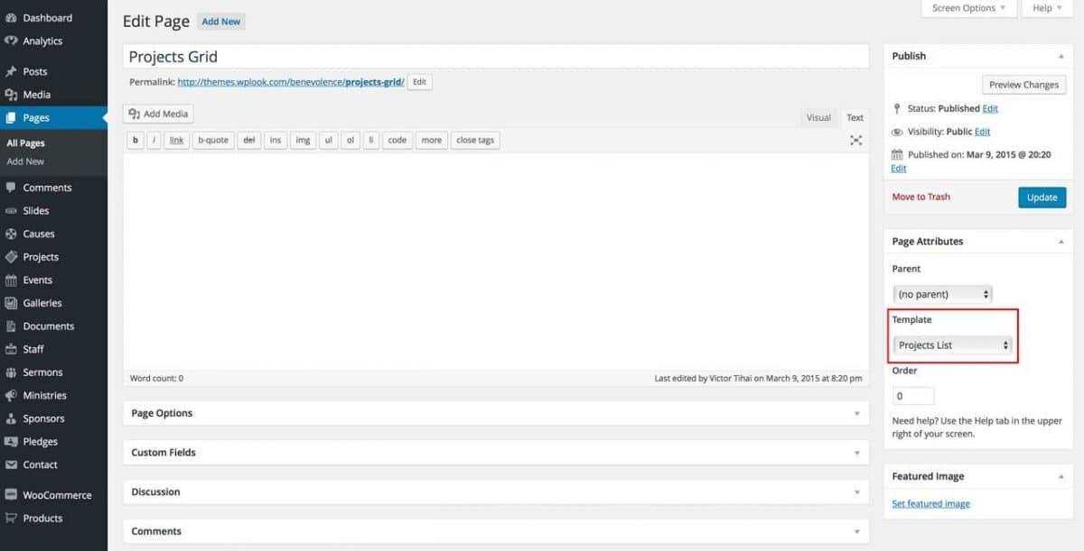 Displaying Projects - WPlook Documentation