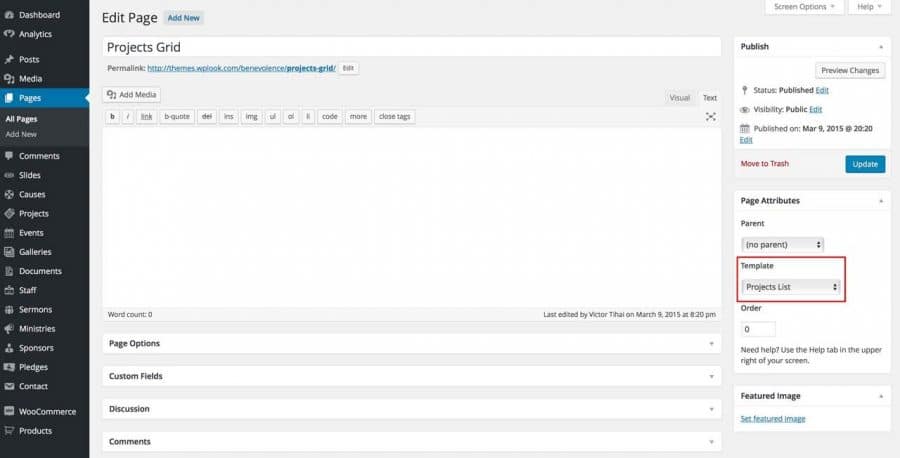 Displaying Projects - WPlook Documentation