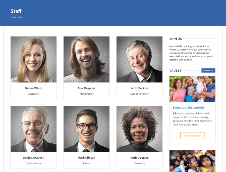 stafftemplate WPlook Documentation
