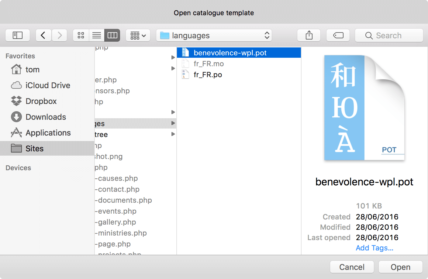 Opening a file in Poedit.