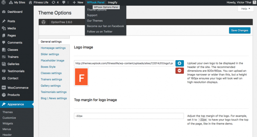 What are Theme Options? - WPlook Documentation