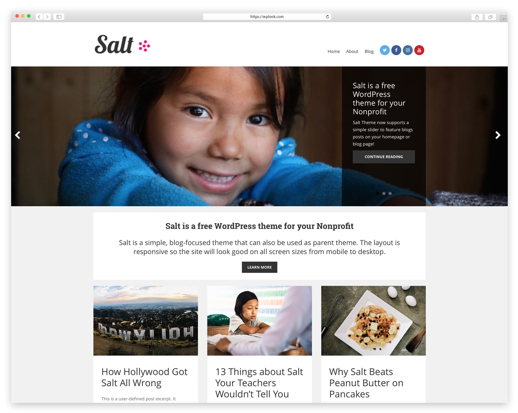  free WordPress theme for Nonprofit Organisations