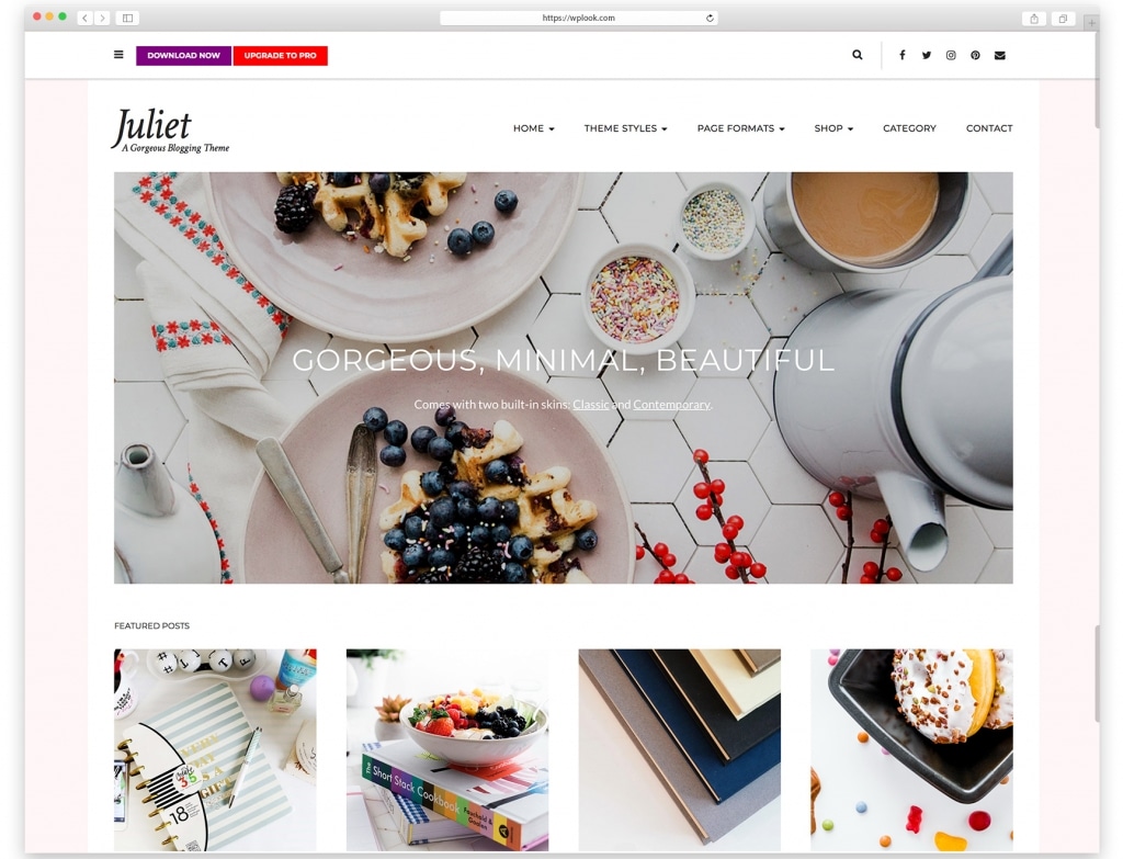 Blog - Theme Circle