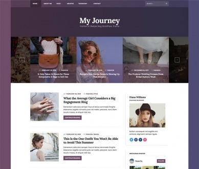 The Most Complex WordPress Themes & Plugins - WPlook Studio