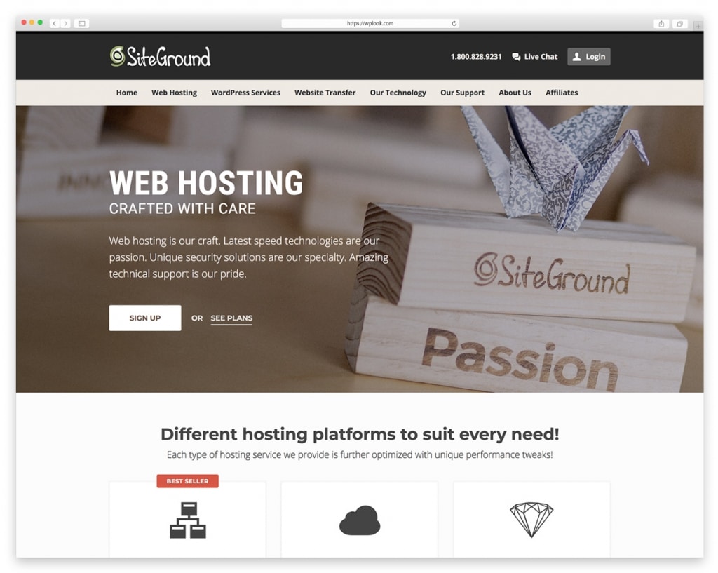 Site Ground Web Hosting