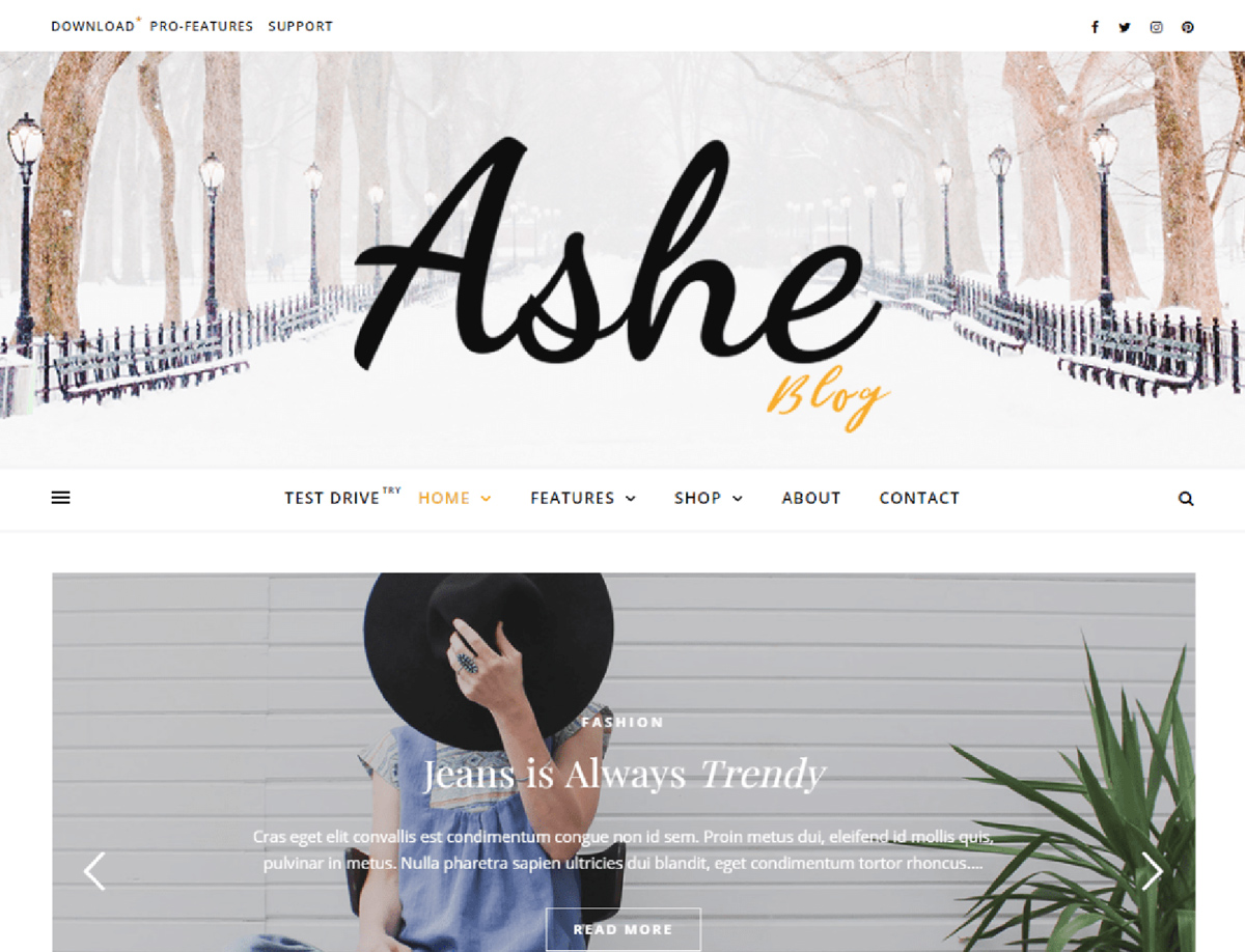  Ashe - Free WordPress Blog Theme