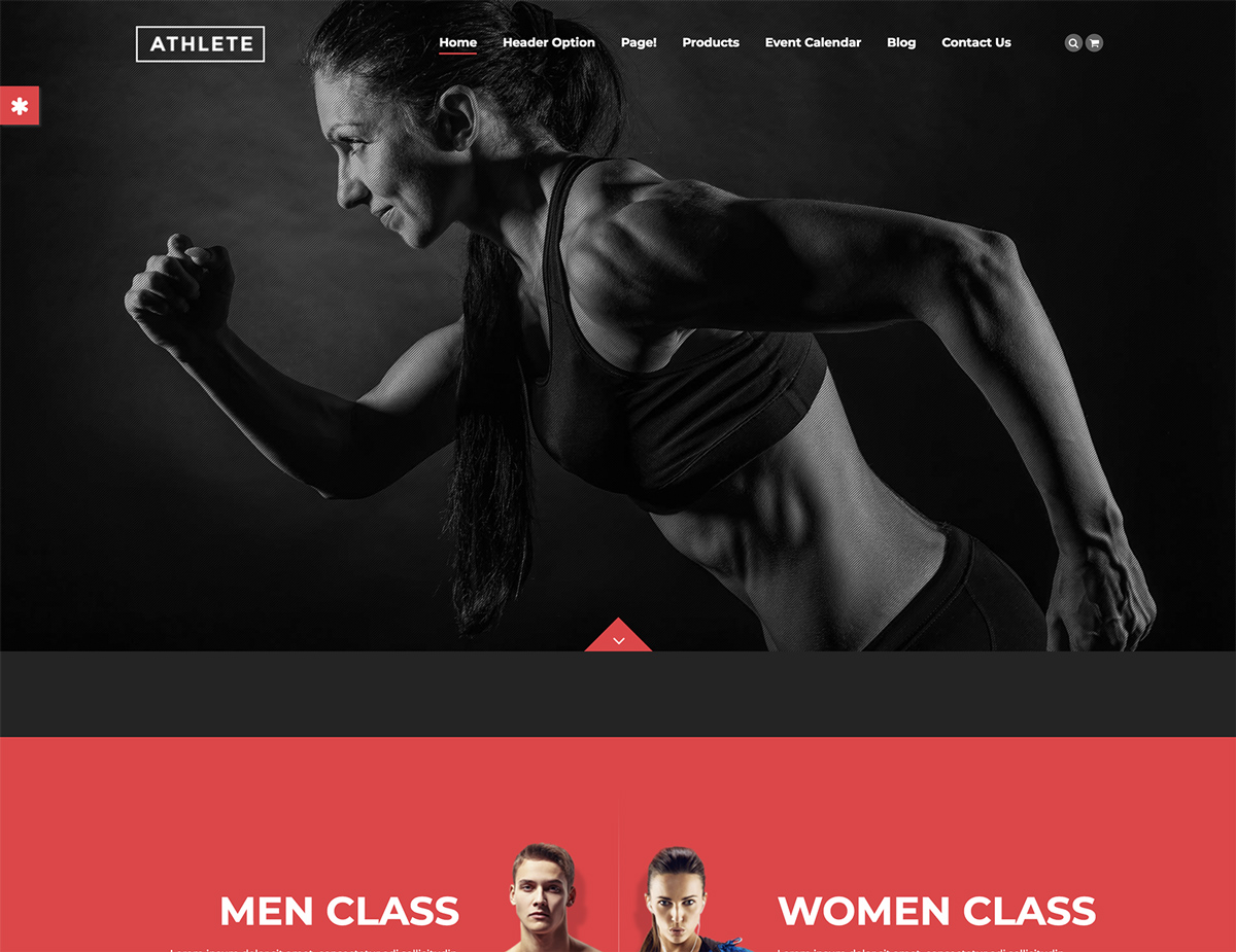 fitness wordpress themes