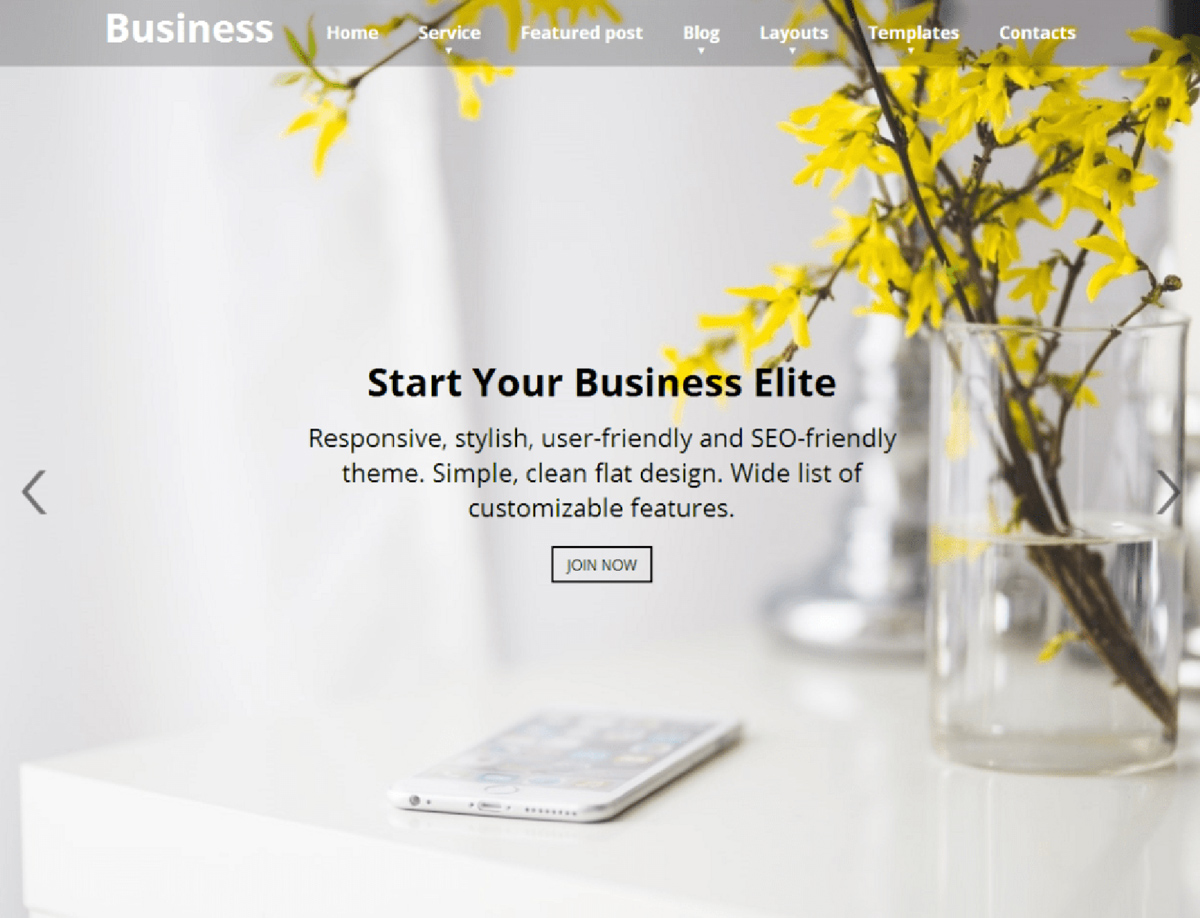 Business Elite - Free Responsive WP Theme