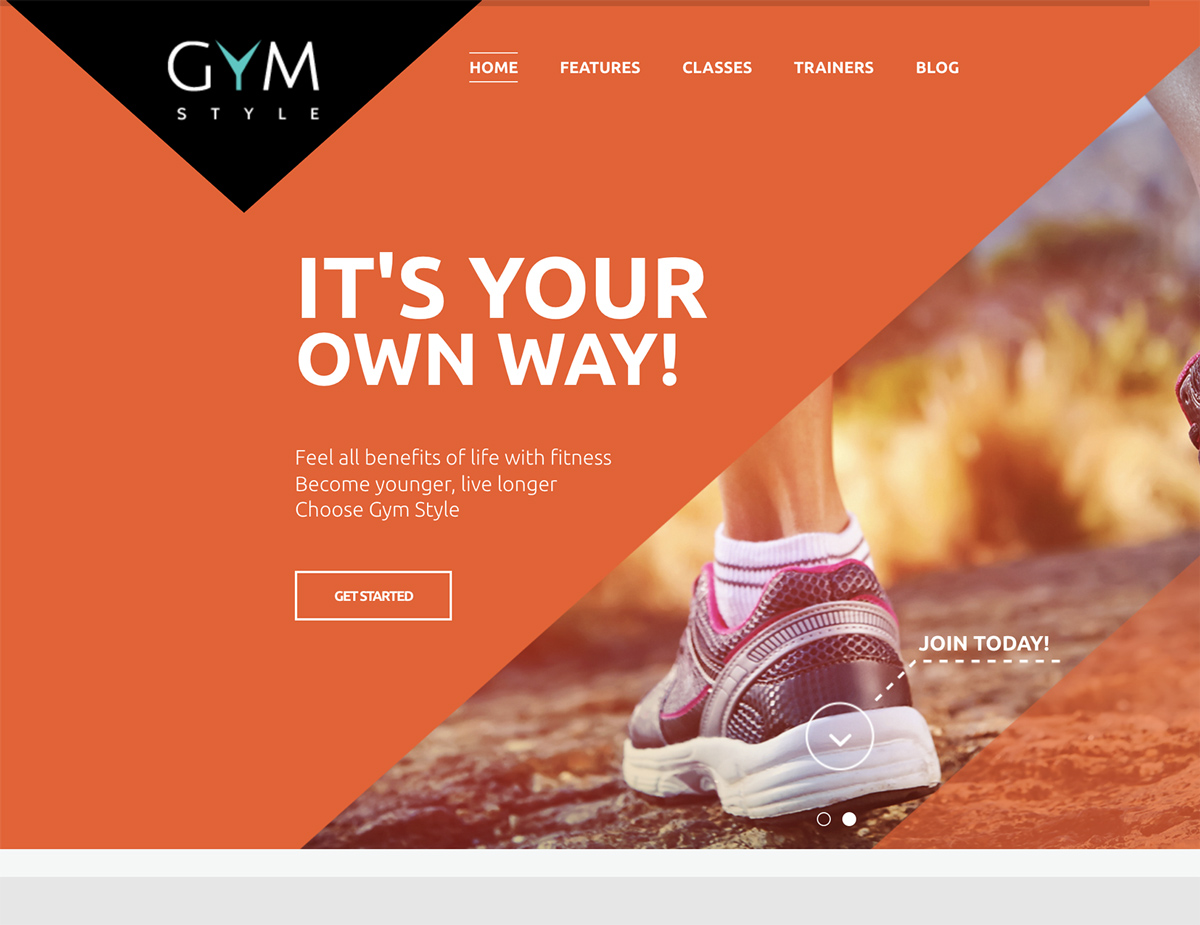 fitness wordpress themes