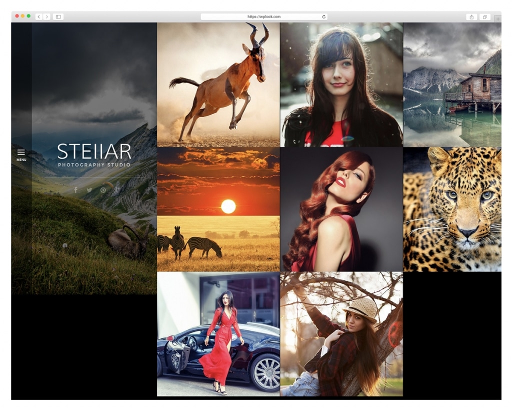 Stellar - WordPress Theme for Photography